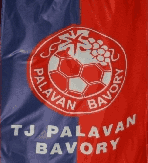 TJ Palavan Bavory